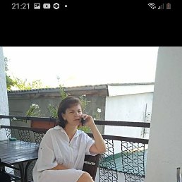 �������, ������������, 41 ���