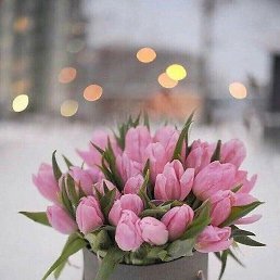 ���, ������, 48 ���