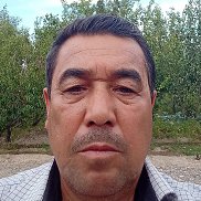 , 61 , 