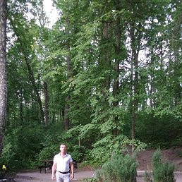 ������, �������, 45 ���