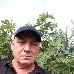 ���� ������, ����, 60 ��� - ��������� 5 ��� 2023