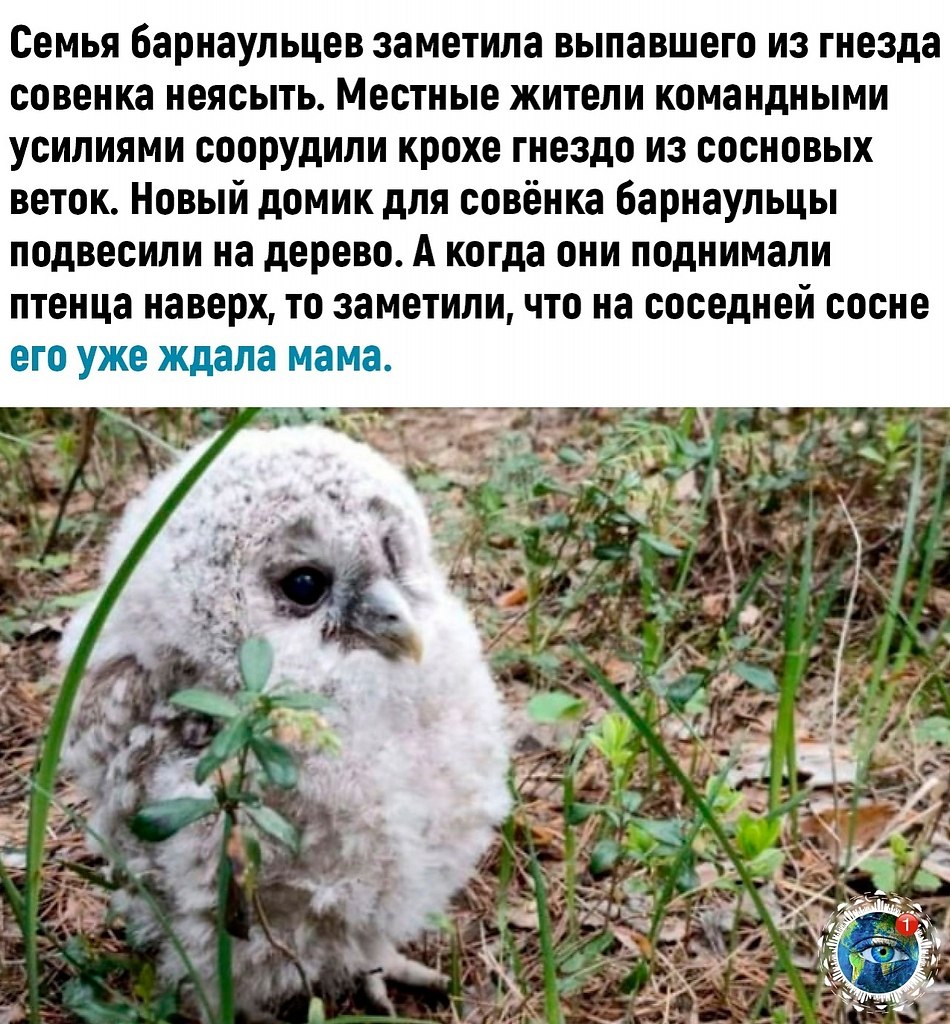 oo ec ec ooo pe o  occ  aoc o poo ceoe.