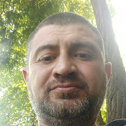 ����, �����������, 41 ���