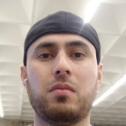 �����, �����-���������, 37 ���