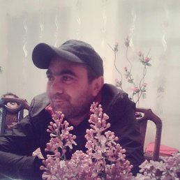 �����, ����������, 35 ���