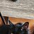 Gabie, , 41  -  25  2023