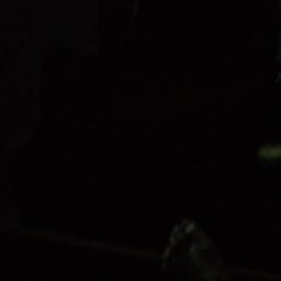 ������, ���������, 37 ���