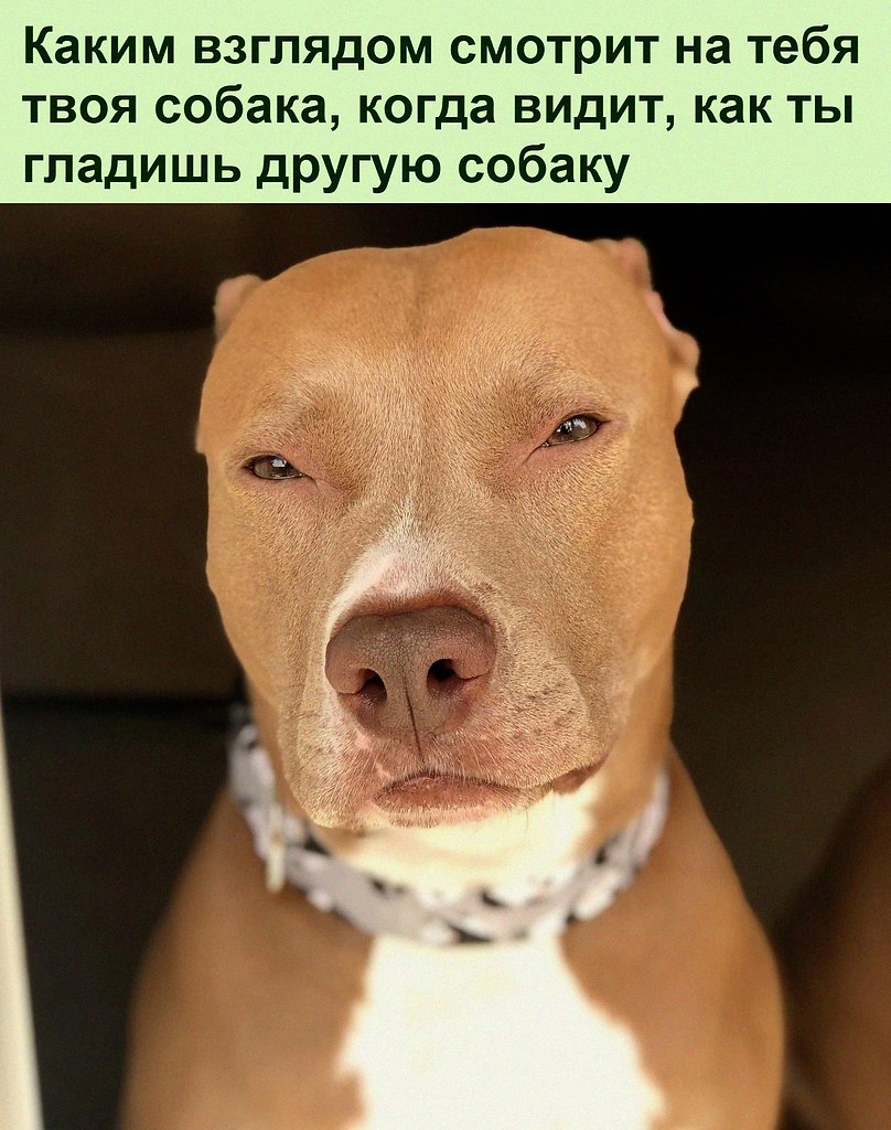   :D - 31  2023  11:44