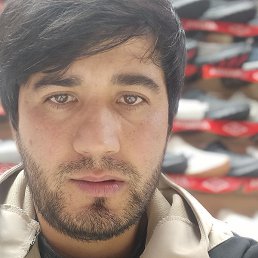 �����, ������, 36 ���