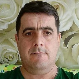 ��������, �������, 39 ���