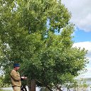 ���� �������, ������, 42 ���� - ��������� 13 ���� 2023