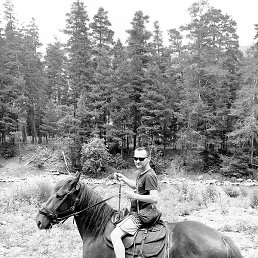 �����, ������, 48 ���