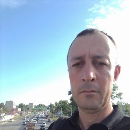 �����, �����������, 38 ���