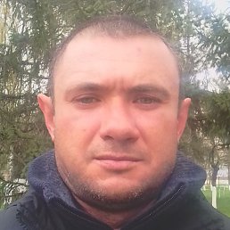 ������, ������, 43 ����