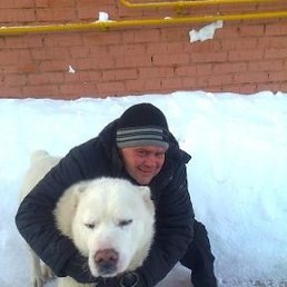 �������, ����, 50 ���