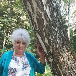 ���� ����, �����������, 66 ��� - ��������� 11 ����� 2023