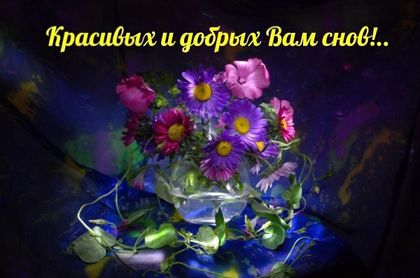 Уже совсем стемнело, ночка за окном. Отдыхать пора ложиться и спать мирным сном. Пусть цветные ...