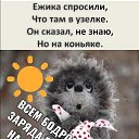 ���� �������, ������, 48 ��� - ��������� 29 ���� 2023 � ������ ������