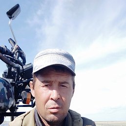 ���������, ������, 44 ����