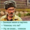  J S, , 44  -  12  2023   л