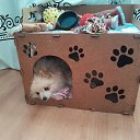 ���� ����, �����������, 37 ��� - ��������� 22 �������� 2023