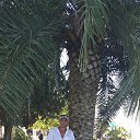 ���� �������, ���������, 51 ��� - ��������� 4 ��� 2023