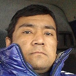 ����, ����������, 41 ���