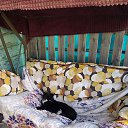 ���� ���������, ������, 43 ���� - ��������� 24 �������� 2023 � ������ ���� ����������