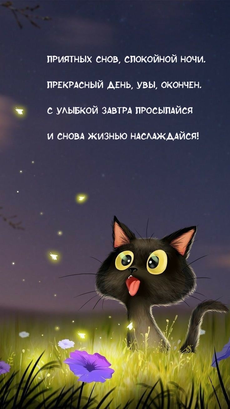  - 20  2023  22:18