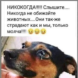 , , 40 