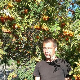 ���� ������� �����, ������, 40 ��� - ��������� 16 ���� 2023