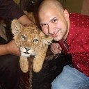  Amr, , 28  -  26  2023    