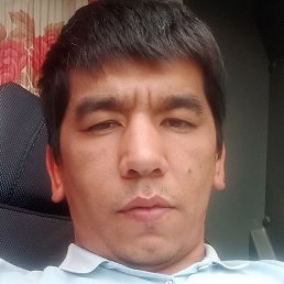 Shavkat, �������, 31 ���