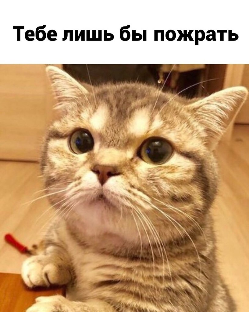    - 4