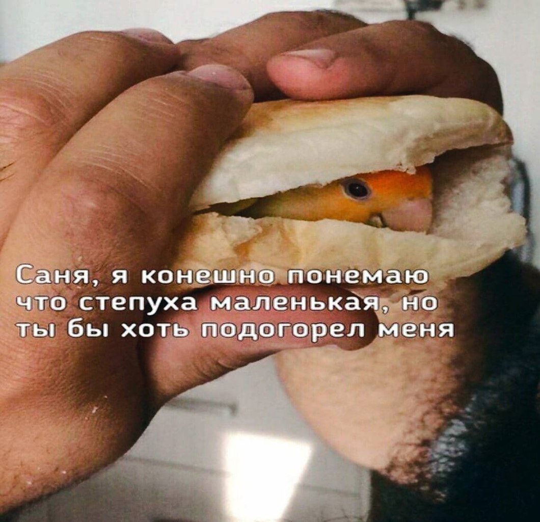    - 17  2023  18:13