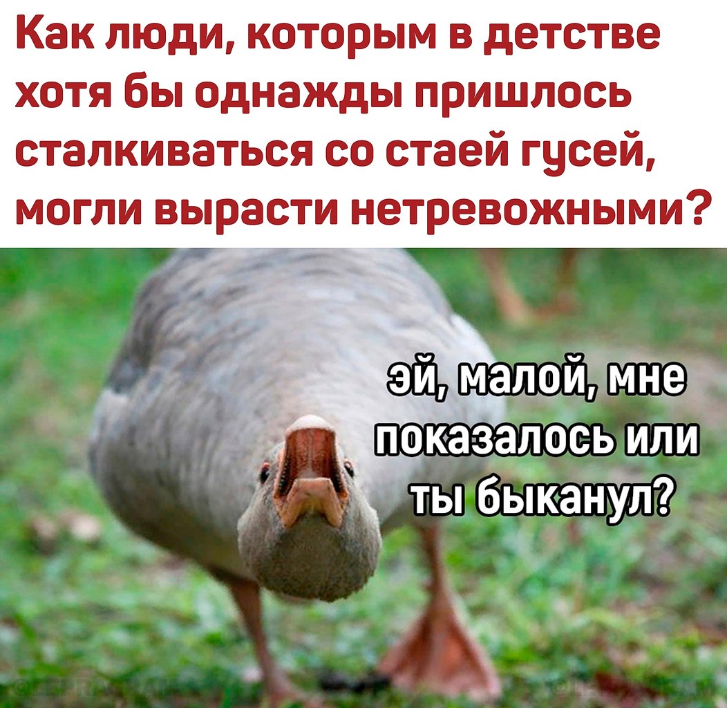    ,   ,  .  !     ,  ...
