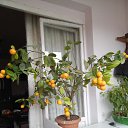 ���� Gagik, ������, 75 ��� - ��������� 3 ����� 2023