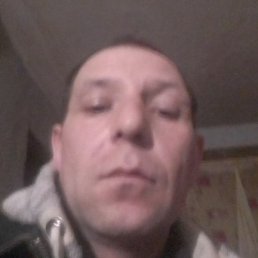 �����, ������, 40 ���