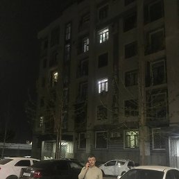 Ziko, �����, 49 ���