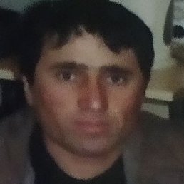 ����� �����, ������, 40 ���