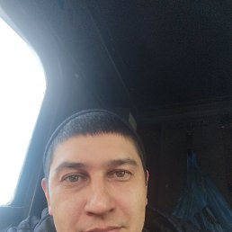 ���� ����, ������, 38 ��� - ��������� 17 ����� 2023