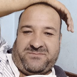 �����, �������, 41 ���