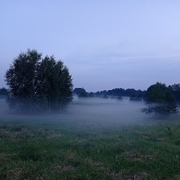 ��������, �����, 55 ���