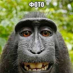 , , 66 