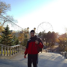 ����, ���������, 41 ���