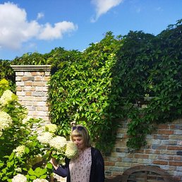 ���� �������, �����, 42 ���� - ��������� 5 �������� 2023