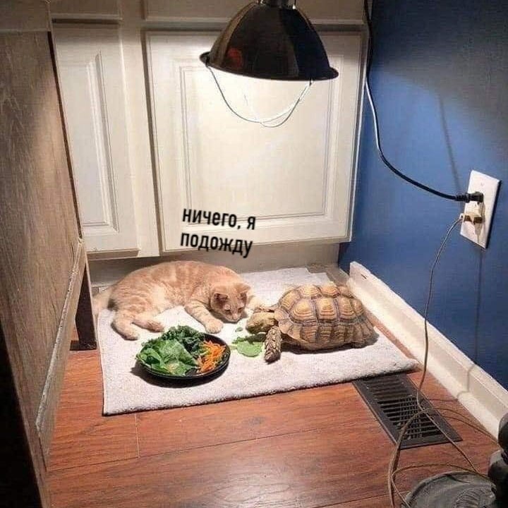   - 2