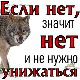 ��, ������, 46 ���