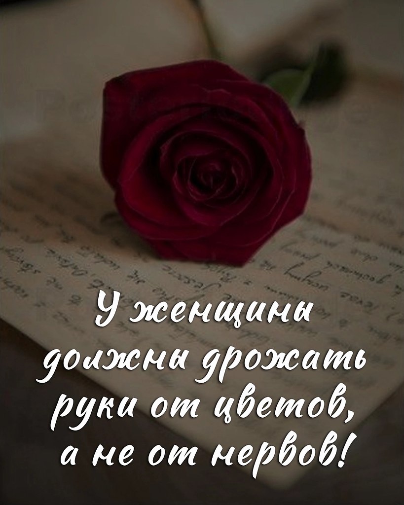 * * * * * * * * * * * * * * * * * * * *