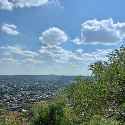 �����, ������-��-����, 72 ����